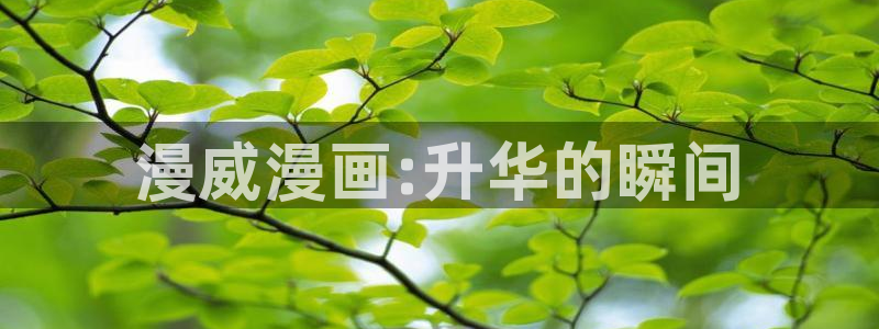 香蕉文化漫画动画小说：漫威漫画:升华的瞬间