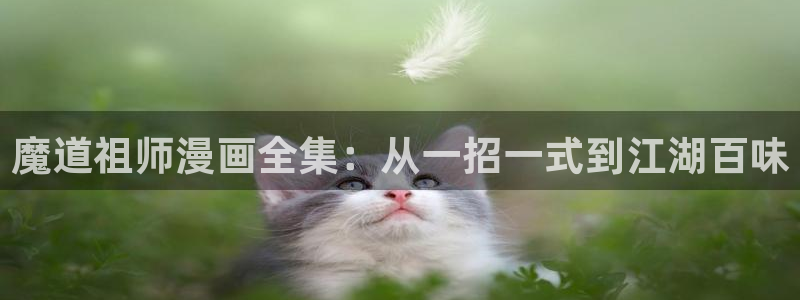 韩国香蕉漫画：魔道祖师漫画全集：从一招一式到江湖百味
