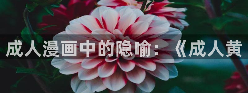 香蕉漫画弹窗入口：成人漫画中的隐喻：《成人黄